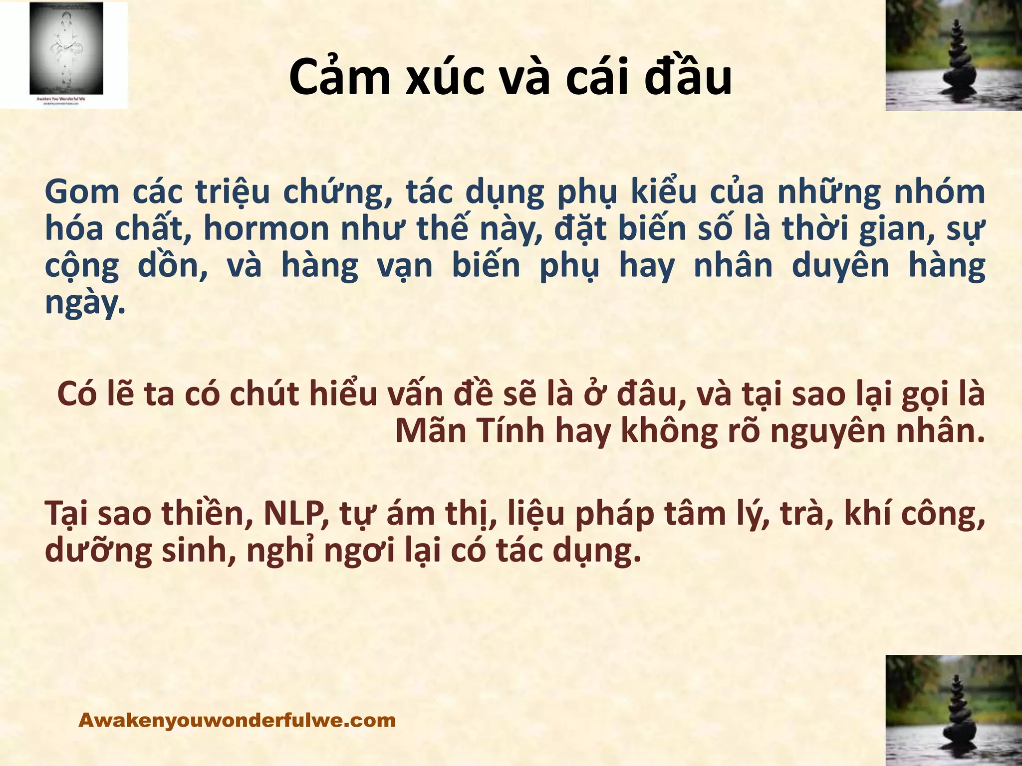 Cảm xúc và cái đầu
Gom các triệu chứng, tác dụng phụ kiểu của những nhóm
hóa chất, hormon như thế này, đặt biến số là thời gian, sự
cộng dồn, và hàng vạn biến phụ hay nhân duyên hàng
ngày.
Có lẽ ta có chút hiểu vấn đề sẽ là ở đâu, và tại sao lại gọi là
Mãn Tính hay không rõ nguyên nhân.
Tại sao thiền, NLP, tự ám thị, liệu pháp tâm lý, trà, khí công,
dưỡng sinh, nghỉ ngơi lại có tác dụng.
Awakenyouwonderfulwe.com
 