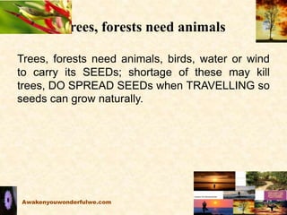 Trees, forests need animals
Trees, forests need animals, birds, water or wind
to carry its SEEDs; shortage of these may ki...