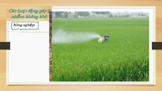 Nông nghiệp:
 
