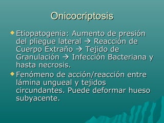 OnicocriptosisOnicocriptosis
 Etiopatogenia: Aumento de presiónEtiopatogenia: Aumento de presión
del pliegue lateraldel pliegue lateral  Reacción deReacción de
Cuerpo ExtrañoCuerpo Extraño  Tejido deTejido de
GranulaciónGranulación  Infección Bacteriana yInfección Bacteriana y
hasta necrosis.hasta necrosis.
 Fenómeno de acción/reacción entreFenómeno de acción/reacción entre
lámina ungueal y tejidoslámina ungueal y tejidos
circundantes. Puede deformar huesocircundantes. Puede deformar hueso
subyacente.subyacente.
 