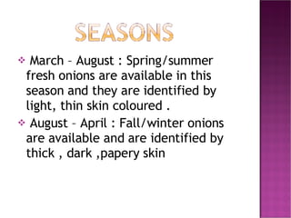 March – August : Spring/summer fresh onions are available in this season and they are identified by light, thin skin coloured . August – April : Fall/winter onions are available and are identified by thick , dark ,papery skin  