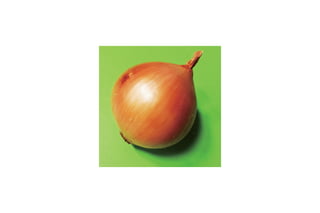 TYPO - Onion