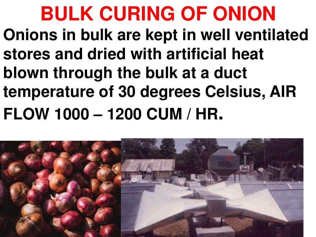 ONION STORAGE ENGINEERING AND TECHNOLOGY