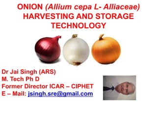 ONION (Allium cepa L- Alliaceae)
HARVESTING AND STORAGE
TECHNOLOGY
Dr Jai Singh (ARS)
M. Tech Ph D
Former Director ICAR – CIPHET
E – Mail: jsingh.sre@gmail.com
 