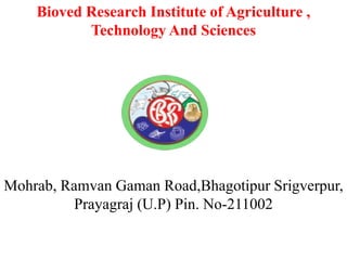 Bioved Research Institute of Agriculture ,
Technology And Sciences
Mohrab, Ramvan Gaman Road,Bhagotipur Srigverpur,
Prayagraj (U.P) Pin. No-211002
 