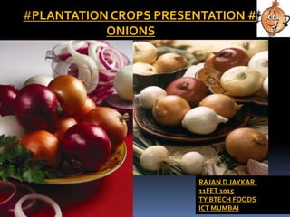 #PLANTATION CROPS PRESENTATION #
ONIONS
RAJAN D JAYKAR
11FET 1015
TY BTECH FOODS
ICT MUMBAI
 