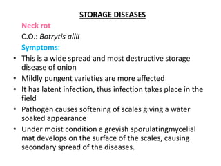 Neck Rot Diseases of Onion and garlic and their management | PPTX