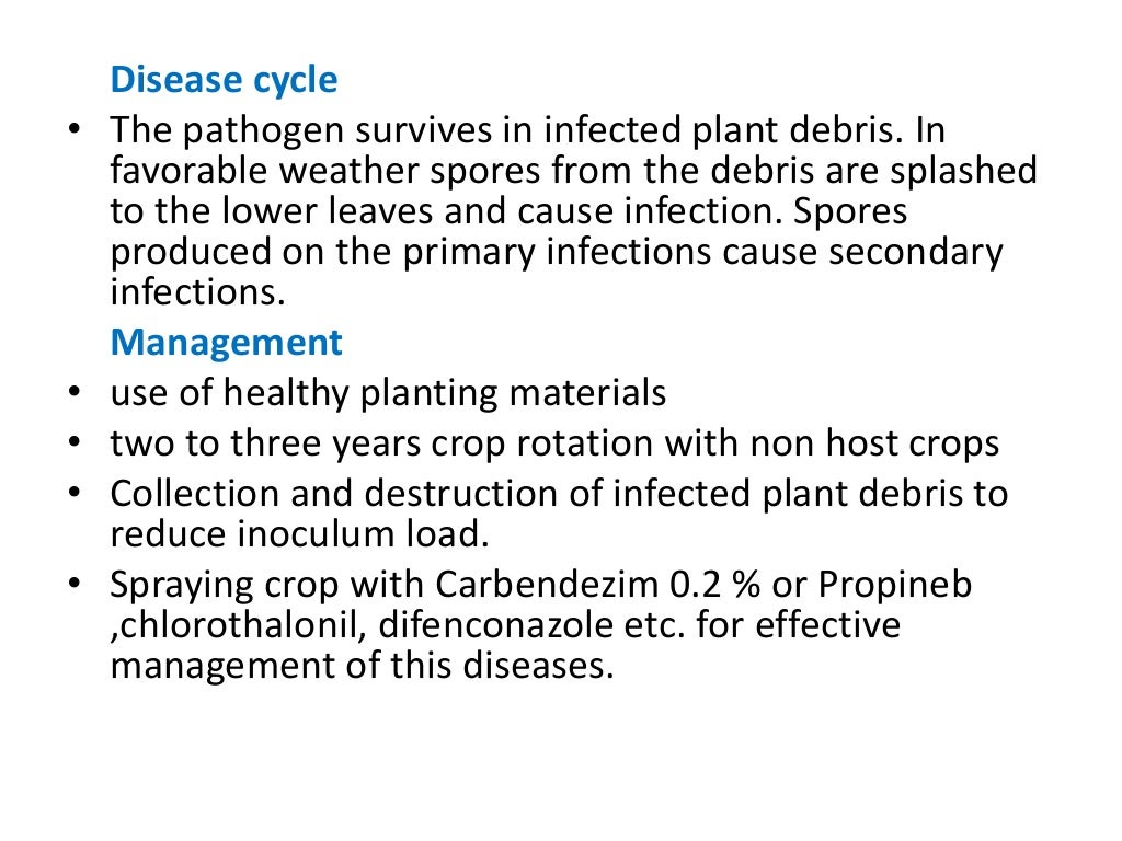 Diseases of Onion and garlic and their management