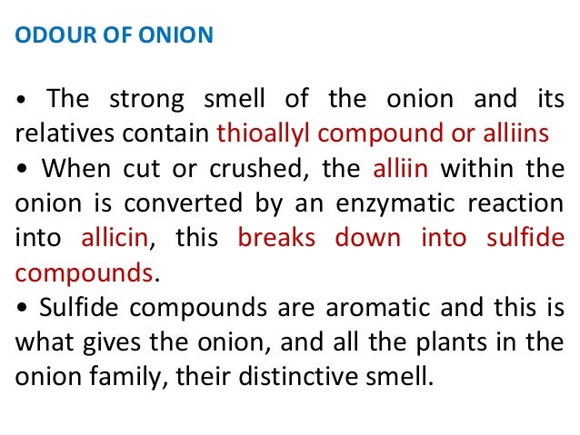 Onion and garlic Onion and garlic