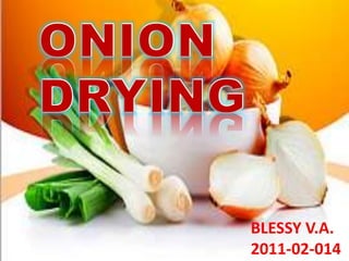 ONION DRYING
BLESSY .V. A
2011-02-014
S6
BLESSY V.A.
2011-02-014
 