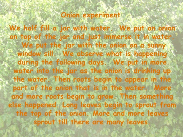 Onion experiment