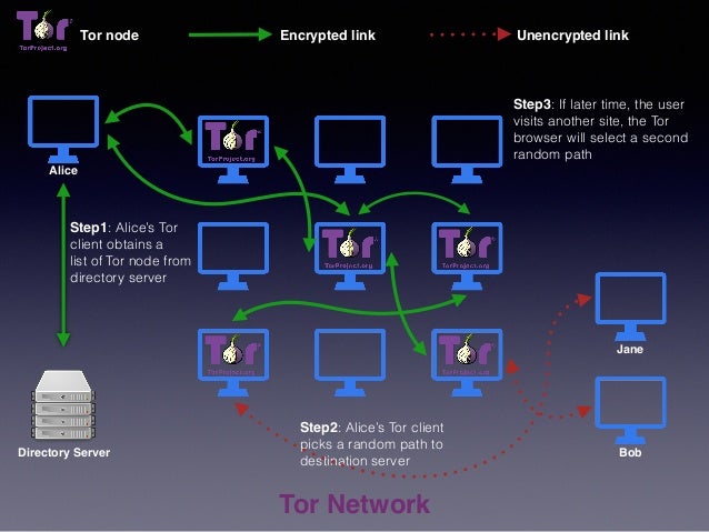 visualize the tor network