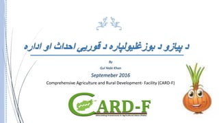 ‫اداره‬ ‫او‬ ‫احداث‬ ‫قوریې‬ ‫د‬ ‫بوزغلیولپاره‬ ‫د‬ ‫پیازو‬ ‫د‬
By
Gul Nabi Khan
Septemeber 2016
Comprehensive Agriculture and Rural Development- Facility (CARD-F)
 