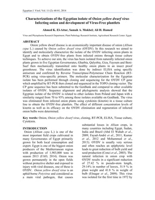 Egyptian J. Virol, Vol. 11 (2): 68-81, 2014   
 
Characterizations of the Egyptian isolate of Onion yellow dwarf virus
Infecting onion and development of Virus-Free plantlets
Ahmed K. El-Attar, Samah A. Mokbel; Ali H. Hamed
Virus and Phytoplasma Research Department, Plant Pathology Research Institute, Agricultural Research Center. Egypt.
ABSTRACT
Onion yellow dwarf disease is an economically important disease of onion (Allium
cepa L.) caused by Onion yellow dwarf virus (OYDV). In this research we aimed to
identify and molecularly characterize the isolate of the OYDV infecting onion plants in
Egypt and to obtain OYDV-free plants from infected onions through tissue culture
techniques. To achieve our aim, the virus has been isolated from naturally infected onion
plants grown in five Egyptian Governorates, Gharbia, Qalyobia, Giza, Fayoum and Beni-
Suef then mechanically transmitted onto healthy onion plants in an insect proof
greenhouse. The virus identification was done by indirect ELISA using specific
antiserum and confirmed by Reverse Transcriptase-Polymerase Chain Reaction (RT-
PCR) using virus-specific primers. The molecular characterization for the Egyptian
isolate has been performed through cloning and sequencing for the OYDV CP gene
which amplified by RT-PCR then cloned and sequenced in the TOPO cloning vector. The
CP gene sequence has been submitted to the GenBank and compared to other available
isolates of OYDV. Sequence alignment and phylogenetic analysis showed that the
Egyptian isolate of the OYDV is related to other isolates from Poland and Japan with a
similarity ranged from 70 to 93% among those isolates available on GenBank. The virus
was eliminated from infected onion plants using cytokinin (kinetin) in a tissue culture
line to obtain the OYDV-free plantlets. The effect of different concentration levels of
kinetin as well as its efficacy on the OYDV elimination and regeneration of infected
onion bulbs were determined.
Key words: Onion, Onion yellow dwarf virus, cloning, RT-PCR, ELISA, Tissue culture,
Cytokinin.
INTRODUCTION
Onion (Allium cepa L.) is one of the
most important field crops cultivated in
many Governorates of Egypt primarily
grown for both local consumption and
export. Egypt is one of the biggest onion
producers of the Mediterranean region
with production of 1,903,000 tons in
season 2013 (FAO, 2014). Onion was
grown permanently in the open fields
without protective shelter and exposed to
injury with viral diseases, one of these is
OYDV. Onion yellow dwarf virus is an
aphid-borne Potyvirus and considered as
a main viral pathogen, that causes
substantial losses in Allium crops, in
many countries including Egypt, Sudan,
India and Brazil (Abd El Wahab et al.,
2009, Fayad-André et al., 2011, Kumar
et al., 2012 and Mohammed et al.,
2013). OYDV is usually very serious
and often reaches an epiphytotic level
leads to great reduction of bulb yield and
seed production (Conci et al., 2003). The
natural infection in onion crop with
OYDV results in a significant reduction
of 27.42 % in pseudo-stem length,
29.14% in number of leaves, 31.9 % in
plant weight and 41.8 % in weight of
bulb (Elnagar et al., 2009). This virus
was isolated for the first time in 1972 by
 