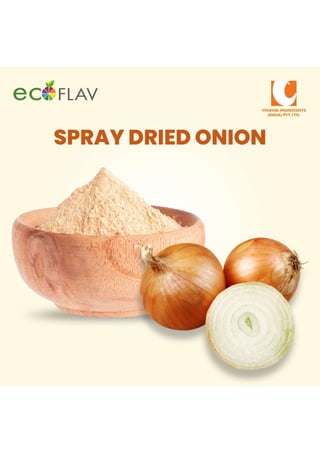 Onion Powder: Concentrated Flavor Boost with Health Benefits
