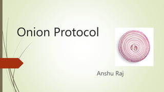 Onion Protocol
Anshu Raj
 