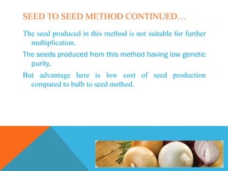 SEED TO SEED METHOD CONTINUED…
The seed produced in this method is not suitable for further
multiplication.
The seeds produced from this method having low genetic
purity,
But advantage here is low cost of seed production
compared to bulb to seed method.
 