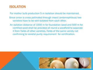 ISOLATION
For mother bulb production 5 m isolation should be maintained.
Since onion is cross pollinated through insect (entomophilous) two
varieties have to be well isolated from each other.
An isolation distance of 1000 m for foundation seed and 500 m for
certified seed shall be provided all round a seedfield to separate
it from fields of other varieties, fields of the same variety not
confirming to varietal purity requirement for certification.
 