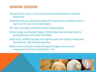 SOWING SEASON
The seeds are sown in may-June for harvesting of bulbs in October-
November.
Selected bulbs are planted in November-December to produce seed in
April-may for use in the next season.
Oct.-Nov. planting is the best time for tropical types.
Dharm Singh and Ranjeet Singh (1991)stated that the best time for
bulb planting is 3rd week of October.
Malik et al. (1999) reported that highest yield and quality of seed was
recorded for 15th October planting.
Bulbs must be stored in well-ventilated storage structure with
temperature 25-30°C and RH 65- 71%.
 