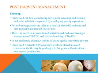 POST HARVEST MANAGEMENT
Cleaning
• Onion seed can be cleaned using any regular screening and fanning
mill, after which it is separated by employing gravity separators.
• For safe storage, seeds are dried to a level of about 6% moisture and
then packed in aluminium foils or tins.
• Then it is stored in air conditioned and dehumidified store having a
temperature of 20-25ºC and relative humidity of 30-40%.
• In hot and humid climate, viability of onion seed is lost within an year.
• Onion seed if dried to 6.0% moisture level and stored in sealed
containers, its life may be prolonged to 3-4 years without evident
loss in seed germination.
 