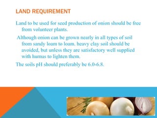 LAND REQUIREMENT
Land to be used for seed production of onion should be free
from volunteer plants.
Although onion can be grown nearly in all types of soil
from sandy loam to loam. heavy clay soil should be
avoided, but unless they are satisfactory well supplied
with humus to lighten them.
The soils pH should preferably be 6.0-6.8.
 