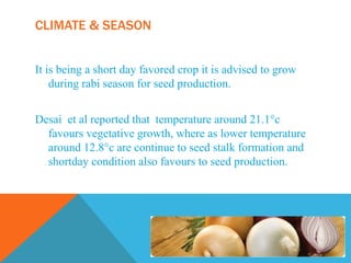 CLIMATE & SEASON
It is being a short day favored crop it is advised to grow
during rabi season for seed production.
Desai et al reported that temperature around 21.1°c
favours vegetative growth, where as lower temperature
around 12.8°c are continue to seed stalk formation and
shortday condition also favours to seed production.
 