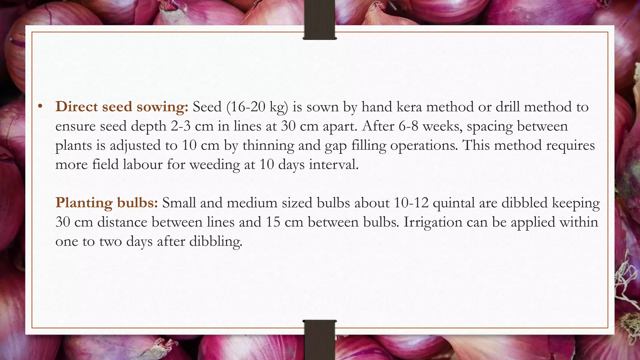 • Direct seed sowing: Seed (16-20 kg) is sown by hand kera method or drill method to
ensure seed depth 2-3 cm in lines at 30 cm apart. After 6-8 weeks, spacing between
plants is adjusted to 10 cm by thinning and gap filling operations. This method requires
more field labour for weeding at 10 days interval.
Planting bulbs: Small and medium sized bulbs about 10-12 quintal are dibbled keeping
30 cm distance between lines and 15 cm between bulbs. Irrigation can be applied within
one to two days after dibbling.
 