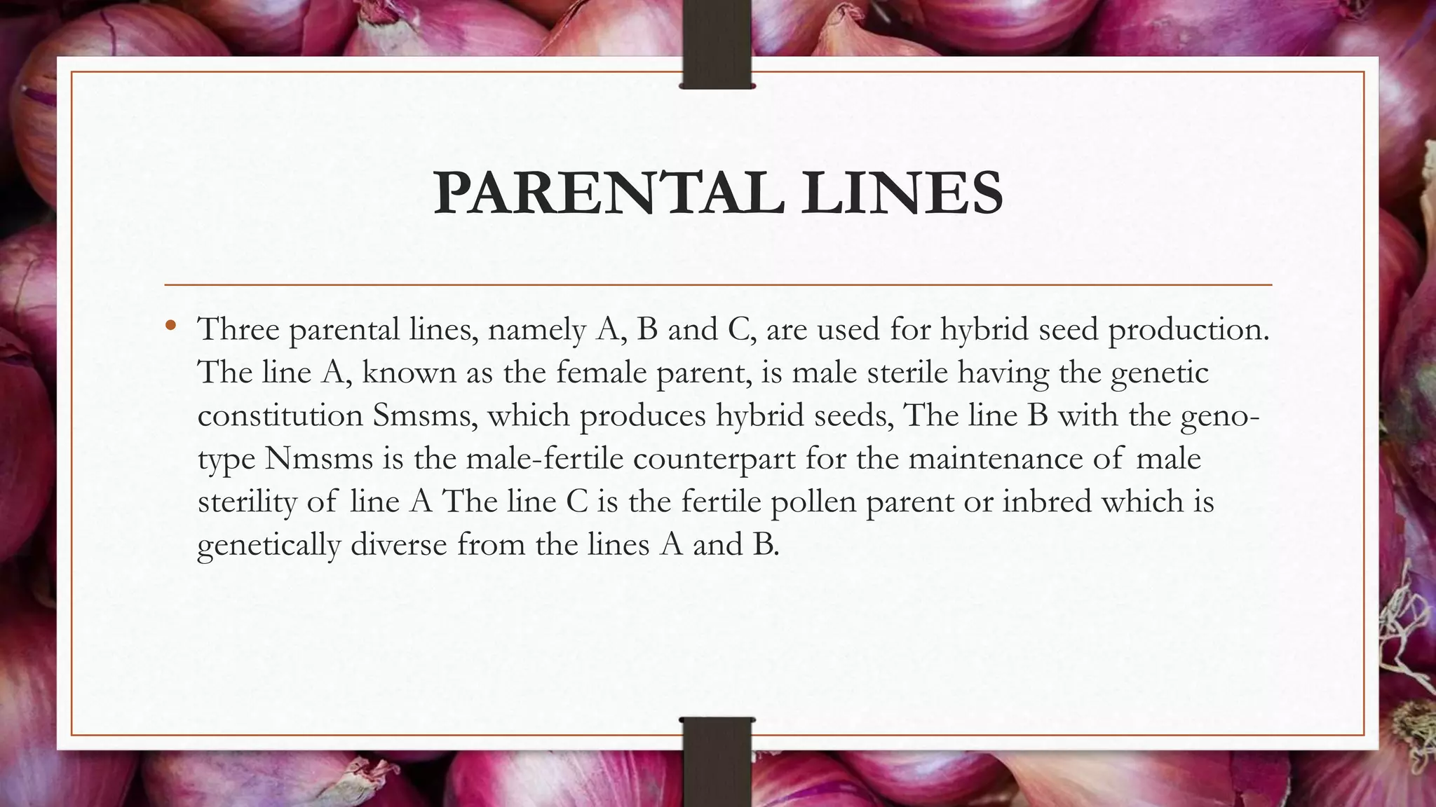 PARENTAL LINES
• Three parental lines, namely A, B and C, are used for hybrid seed production.
The line A, known as the female parent, is male sterile having the genetic
constitution Smsms, which produces hybrid seeds, The line B with the geno-
type Nmsms is the male-fertile counterpart for the maintenance of male
sterility of line A The line C is the fertile pollen parent or inbred which is
genetically diverse from the lines A and B.
 