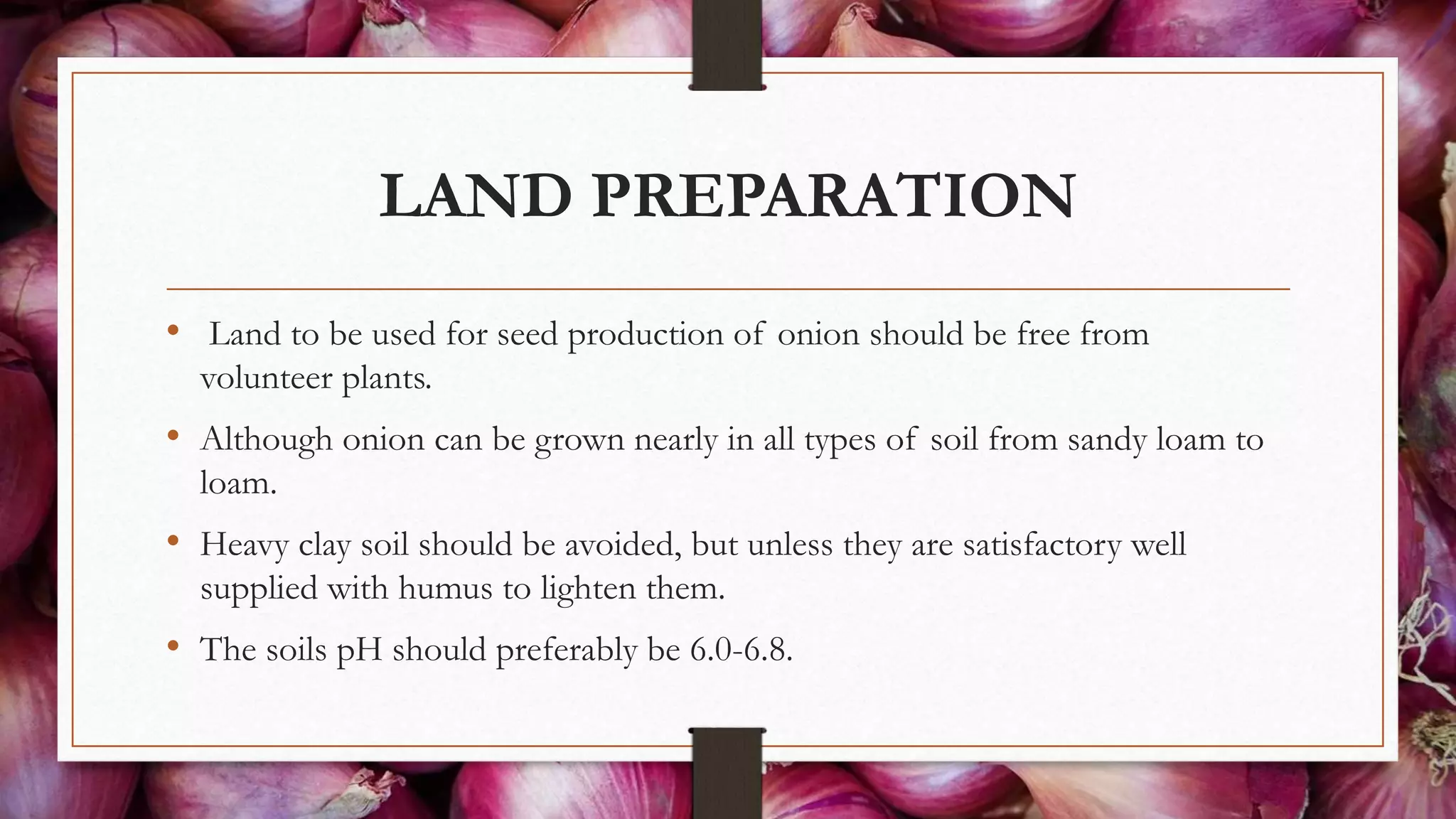 LAND PREPARATION
• Land to be used for seed production of onion should be free from
volunteer plants.
• Although onion can be grown nearly in all types of soil from sandy loam to
loam.
• Heavy clay soil should be avoided, but unless they are satisfactory well
supplied with humus to lighten them.
• The soils pH should preferably be 6.0-6.8.
 