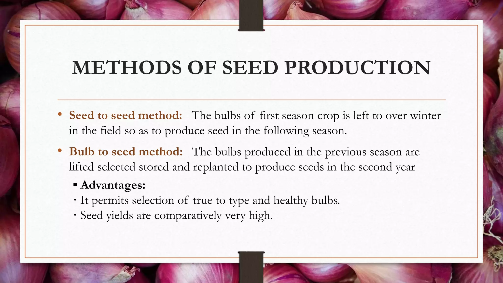 METHODS OF SEED PRODUCTION
• Seed to seed method: The bulbs of first season crop is left to over winter
in the field so as to produce seed in the following season.
• Bulb to seed method: The bulbs produced in the previous season are
lifted selected stored and replanted to produce seeds in the second year
▪ Advantages:
· It permits selection of true to type and healthy bulbs.
· Seed yields are comparatively very high.
 