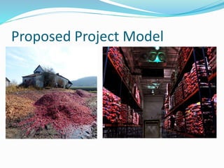 Proposed Project Model
 