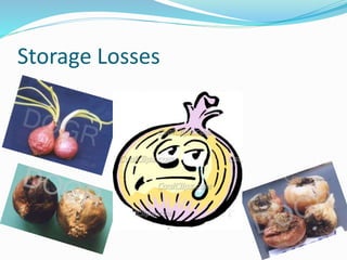 Storage Losses
 