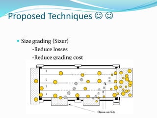Proposed Techniques  
 Size grading (Sizer)
-Reduce losses
-Reduce grading cost
 