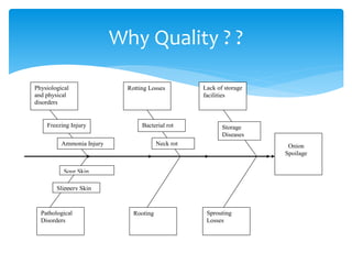 Rotting LossesPhysiological
and physical
disorders
Lack of storage
facilities
Sprouting
Losses
Pathological
Disorders
Rooting
Onion
Spoilage
Freezing Injury
Ammonia Injury Neck rot
Bacterial rot
Slippery Skin
Sour Skin
Storage
Diseases
Why Quality ? ?
 