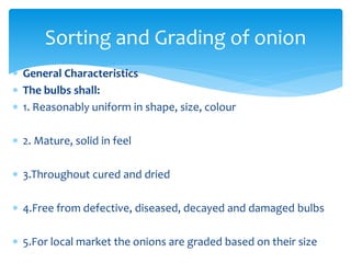  General Characteristics
 The bulbs shall:
 1. Reasonably uniform in shape, size, colour
 2. Mature, solid in feel
 3.Throughout cured and dried
 4.Free from defective, diseased, decayed and damaged bulbs
 5.For local market the onions are graded based on their size
Sorting and Grading of onion
 