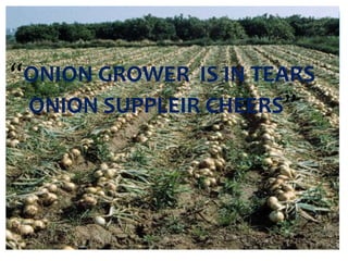“ONION GROWER IS IN TEARS
ONION SUPPLEIR CHEERS”
 