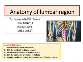 Anatomy of lumbar region
By : Muhamad Afif bin Roslan
BHAL17047118
PBL GROUP 6
MBBS UniSZA
1
Learning Outcomes:
I. Describe the lumbar vertebrae
II. List the joints of vertebral column
III. Describe the muscles of lumbar region
IV. List the ligaments of lumbar vertebrae
V. Explain the blood supply and innervation of lumbar region
 