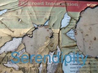 Serendipity 
 
