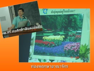 ท่องพฤกษาอาณาจักร ท่องพฤกษาอาณาจักร อ . ดร . ต่อศักดิ์  สินลานันท์ 