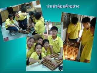 นำเข้าตู้อบตัวอย่าง นำเข้าตู้อบตัวอย่าง 