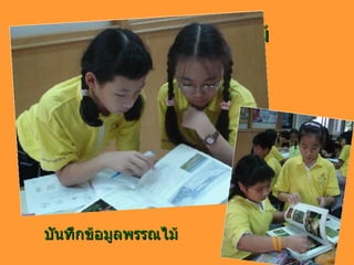 บันทึกข้อมูลพรรณไม้ บันทึกข้อมูลพรรณไม้ 