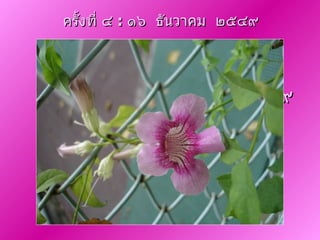 ครั้งที่ ๔  :  ๑๖  ธันวาคม  ๒๕๔๙ ครั้งที่ ๔  :  ๑๖  ธันวาคม  ๒๕๔๙ 