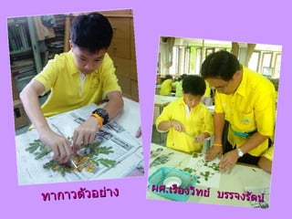 ทากาวตัวอย่าง ทากาวตัวอย่าง ผศ . เรืองวิทย์  บรรจงรัตน์  