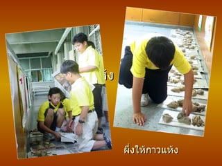 ผึ่งให้กาวแห้ง ผึ่งให้กาวแห้ง 