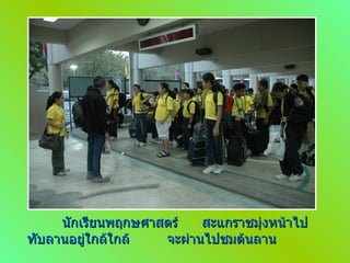 นักเรียนพฤกษศาสตร์ สะแกราชมุ่งหน้าไป ทับลานอยู่ใกล้ใกล้ จะผ่านไปชมต้นลาน 