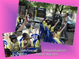 ได้ฟังวิทยากร พี่พี่สอนเรื่องผืนป่า ผืนป่าที่พี่ว่า คือผืนป่าพญาเย็น 