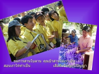 ชมการสานใบลาน คุณป้าสานให้เราเห็น สอนเราให้ทำเป็น เสื่อผืนใหญ่ภูมิปัญญา 