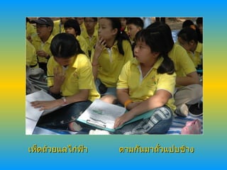 เห็ดถ้วยแลไก่ฟ้า ตามกันมาถั่วแปบช้าง 