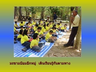 มะขามป้อมอีกหมู่ เดินเรียนรู้กันตามทาง 