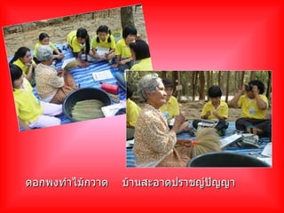 ดอกพงทำไม้กวาด  บ้านสะอาดปราชญ์ปัญญา 